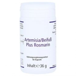 Артемизинин 150 мг капс. 60шт в Серове и области фото