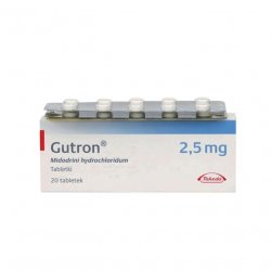 Гутрон таблетки 2,5 мг. №20 в Серове и области фото